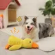 Jouets en peluche pour animaux de compagnie Golden Retriever et Corgi jouets pour chiots