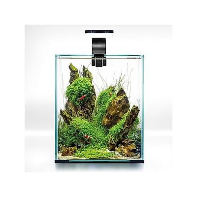 Aquael Shrimp 20 Set Nano Aquarium