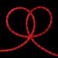 Red Incandescent Christmas Rope Lights