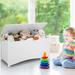 Kid s Toy Box with Flip-Top Lid and Cut-Out Pulls