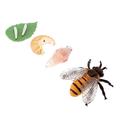 ibasenice Kid Safe 4 Sets Bee Growth Model Simulation Bee Model Small Animal Toys Insect Life Cycle Toys Life Cycle Figurines Science Toys Evolution Model Models Child Mini Props Plastic