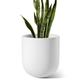 LE TAUCI 25 cm Plant Pot, Ceramic Pots for Plants with Drainage Plug and Mesh Screen, Plant Pots Indoor Outdoor for Home Garden Patio Office, Cylinder Round Flower Planter Pot, White
