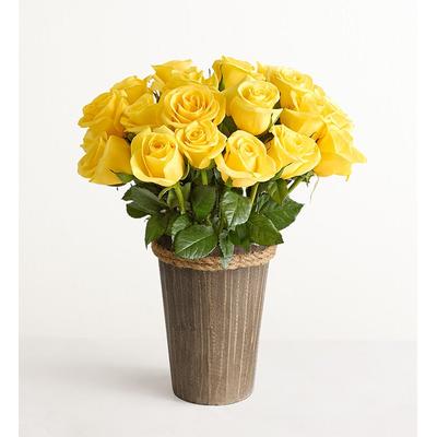 1-800-Flowers Flower Delivery Yellow Roses 24 Stems W/ Woodland Vase