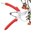 Sécateur de jardin à lame SK5 ciseaux pour bonsaï arbres fruitiers fleurs branches sécateurs de