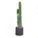 Laura Ashley 40.16" Faux Cactus Plant in Basket in Black | 40.16 H x 10.63 W x 10.63 D in | Wayfair VHA102524