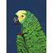 Winston Porter Parrot Head Navy by Pamela Munger Print Paper in Blue/Green | 16 H x 12 W x 1.25 D in | Wayfair ADEB7EEED89A4F16BFDBEDB7311154C7