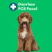 Diarrhea PCR Test: Sample Collection Kit for Dogs