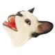 SAFIGLE 5pcs Hand Puppet Soft Toy Dog Puppet Animal Theater Puppet Storytelling Adults Puppets Toys for Adults Dog Head Puppet Trick or Treat Toys Puppy Vinyl White Gloves Child