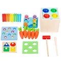 Kit de jeu en bois 5 en 1 jouet Montessori jeu d'association pour objets de plus de 1 an boîte de