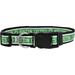 Pets First NBA BOSTON CELTICS Dog Collar Size Medium. Best Pet Collar for all Sports Fans M (Neck: Strap Width: 0.625 ) NBA Pet Collar Boston Celtics