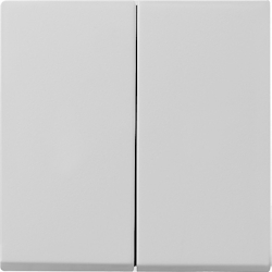 Gira Wippe 2-f. 0295015 Image