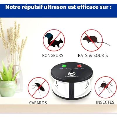 photo de l'objet