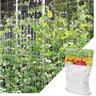 Linghhang - 1,67m x 5 m)Filet pour Plantes Grimpantes, Grande Maille Filet Tuteur, Grimpante en