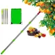 Poteau pliable pliable avec panier panier de jardin portable pour prune formage citron abricot