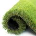ColourTree Realistic Deluxe Artificial 1.98 inch Height Grass Synthetic Thick Lawn Turf Carpet | 1.98 H x 48 W x 936 D in | Wayfair TGC50-4' x 78'