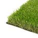 ColourTree Realistic Deluxe Artificial 1.78 inch Height Grass Synthetic Thick Lawn Turf Carpet | 1.78 H x 60 W x 576 D in | Wayfair TGC45-5' x 48'