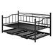 Gracie Oaks Kernie Bed Metal in Black | 36.8 H x 39.2 W x 78.3 D in | Wayfair C5B938AEAE954C99BAA66C25D1617CA8