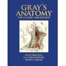 Gray's Anatomy - Henry Gray