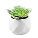 Easy to Maintain Artificial Potted White Ceramic Potted Mini Modern Decoration Artificial Succulent Potted for Home