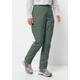Trekkinghose JACK WOLFSKIN "BARRIER PANT W", Damen, Gr. 40, Normalgrößen, grün (hedge, grün), OBERSTOFF: 46% POLYAMID, 27% LYOCELL, 27% VISKOSE; Futter: 100% POLYESTER, Hosen