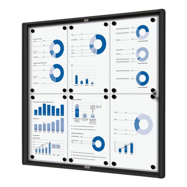 Showdown Displays Abschließbarer Schaukasten »Economy« 6x A4 schwarz, 71.1x65.5x2.6 cm