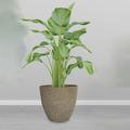 LLDI Flower Pot Succulent Planter Pots for Garden Light stone