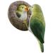 Tree Garden Wall-mounted Bird Statues Sculptures Decorate Delicate Resin Crafts Decorations Outdoor