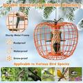 Amijoy Squirrel-Proof Bird Feeder Outdoor Hanging Pumpkin Caged Seed Feeder for Wild Birds w/ 4 Ports Weatherproof Metal Bird Feeder