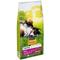 Friskies Maxi Dog Beef - Nourriture sèche pour chiens - 10 kg - Purina