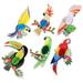 6 Pcs Parrot Paper Cut Hanging Cutout Decoration Bar Bird Cutouts Decoupage Honeycomb for Living Room Pendant Banquet