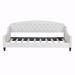 House of Hampton® Juanice Daybed Upholstered/Velvet in Brown | 33.8 H x 45.6 W x 80.7 D in | Wayfair 87CF0064E6204B9996EC33D005208319