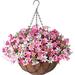 Primrue Daisy Hanging Basket Arrangement in Basket Silk/Plastic | 21 H x 16 W x 16 D in | Wayfair E0D6316B38E74422ADF4A0CCE20A5127