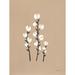 Gracie Oaks Petite Floral I by Yvette St. Amant Print Paper, Solid Wood in Brown/White | 16 H x 12 W x 1.25 D in | Wayfair