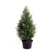 Best Artificial Potted Cedar Pine Cypress Conifer Tree (2ft)