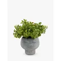 John Lewis Artificial Eucalyptus Bush in Stone Planter