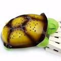 Slowmoose Cute Turtle Design Led Night Light- Star Projector Green