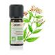 Florame Elicrisium Essential Oil (Helichryse Bracteiferum) 10 ml of essential oil