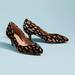 Anthropologie Shoes | Anthropologie Abstract Velvet Kitten Heels Nwt Size Us 9.5 Eu 40.5 | Color: Black/Brown | Size: 9.5