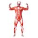 Soldat / Guerrier Eren Yeager Costume de Cosplay Costume de peau Bodys Homme Cosplay de Film Genre Muscle Déguisement effrayant Rouge Carnaval Nouvel an Collant / Combinaison Costume Zentai