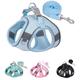 Harnais pour chien de petite et moyenne taille, harnais et laisse sans traction pour chiots, harnais pour petits chiens, harnais pour petits chiens, harnais pour petit chien, harnais en maille pour