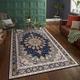 tapis exotique style ethnique américain persan salon hôtel chez l'habitant maison chambre pleine tapis