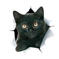 Winston ours autocollants chat 3d - pack de 2 - stickers muraux chat noir - stickers muraux chat pour chambre - réfrigérateur - toilettes - voiture - emballés au détail