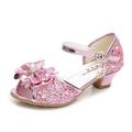 La Reine des Neiges Conte de Fée Princesse Elsa Reine des Neiges Chaussures Fille Cosplay de Film Paillettes Halloween Argent Doré Rose Halloween Carnaval Mascarade Chaussures