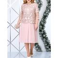 femmes grande taille courbe deux pièces robe ensemble robe de soirée robe en dentelle fête invité de mariage mode élégant patchwork brodé robe midi col ras du cou manches 3/4 uni coupe ample rose