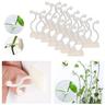 20pcs plantes grimpantes clips de montage mural, fixateur de vigne invisible crochet auto-adhésif plante vigne traction mur vignes montage mur collant crochet vignes clip de fixation support de vignes