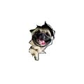 Autocollant de voiture auto arrière fenêtre chiot cassé fenêtre autocollants électrostatique 3d simulation bouledogue français voiture autocollants vinyle stickers