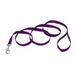 Coastal Single-Ply Nylon Dog Leash