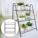 Modern Wrought Iron 3 Tiers Flower Metal Plant Stand Ladder Shape Simple