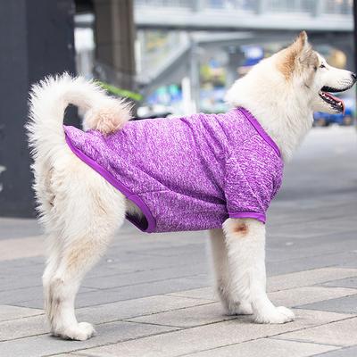 Zhongda Dog Autumn And Winter Wool Sweater Warm Border Collie Samofadou Pet Clothing Supplies Golden Hair