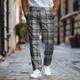 Plaid / Check Business Classic Men's Business 3D Printed Dress Pants Flat Front Straight-Leg Polyester Medium Waist Pants Outdoor Street Wear to Work Daily Wear S TO 3XL